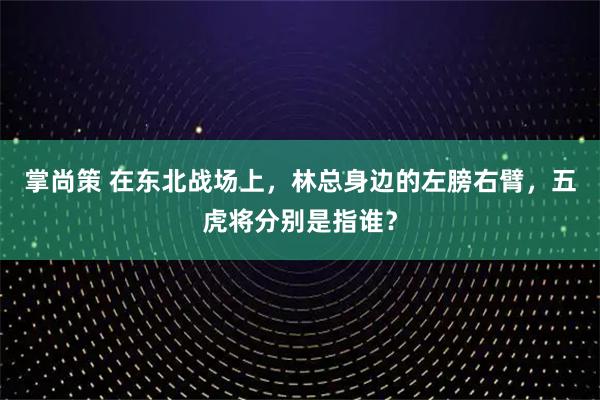 掌尚策 在东北战场上，林总身边的左膀右臂，五虎将分别是指谁？